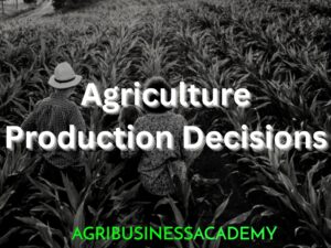 Infographic on Agriculture Production Decision-Making: Key stages from crop selection to post-harvest, covering essential choices in seeds, nutrition, irrigation, pest management, harvesting, and market access. Highlights challenges in timely access to inputs, advisory services, post-harvest infrastructure, and markets. Guiding questions provided for each decision point, aiming to enhance productivity and profitability to build best farming business. Agritech tools are also emphasized for effective production management and monetization. A 3-5 hour certification course for mastering agricultural production and monetization strategies. Course is meant for youth capacity building in agribusiness value chains, making them ready for job opportunities and entrepreneurship in Food and Agri sector.