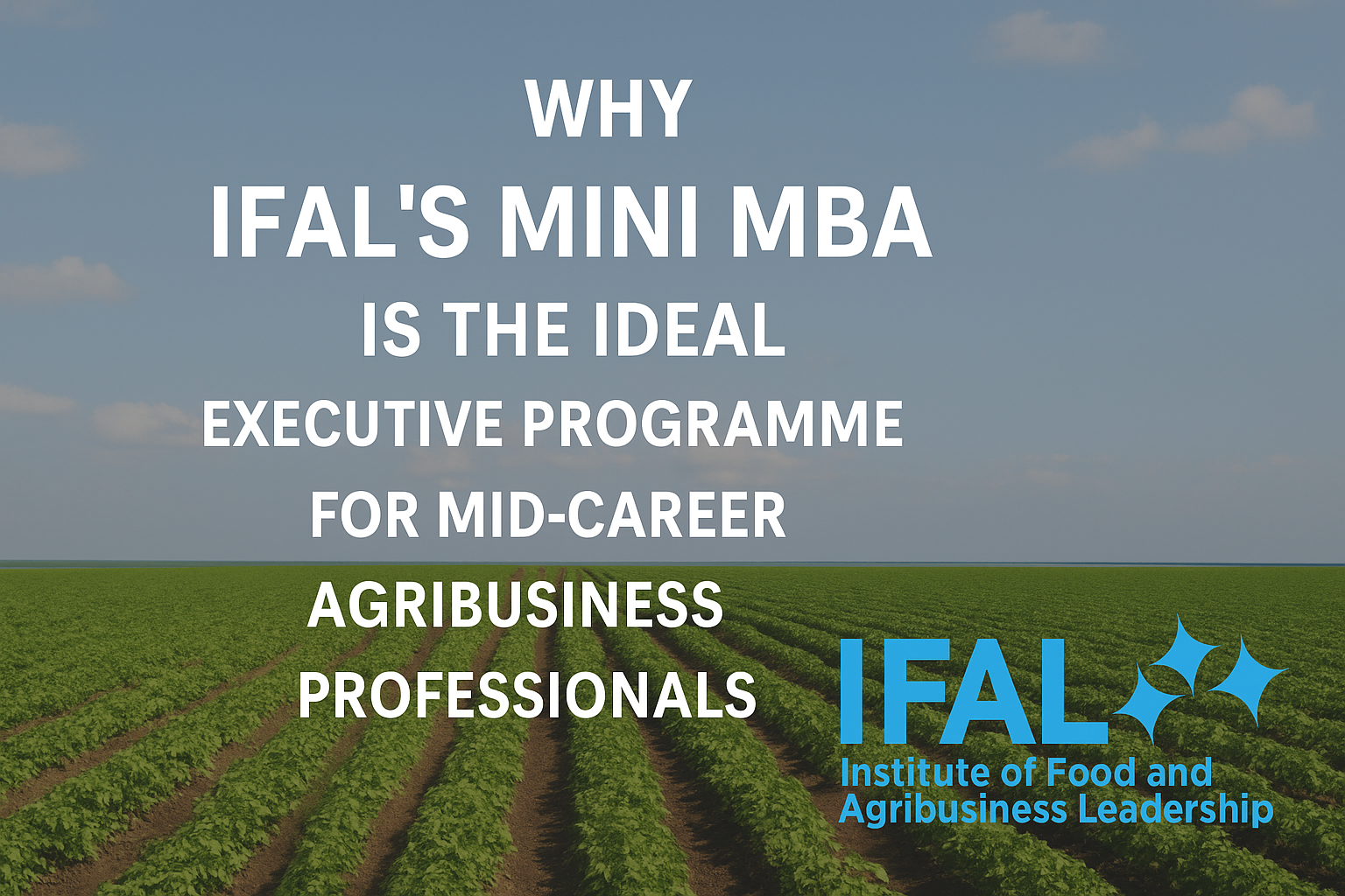 Promotional banner for IFAL’s Mini MBA program, featuring a green agricultural field under a clear blue sky. Bold white text reads, “Why IFAL’s Mini MBA is the Ideal Executive Programme for Mid-Career Agribusiness Professionals.” The IFAL logo, with blue stars and the full name "Institute of Food and Agribusiness Leadership," appears at the bottom right.